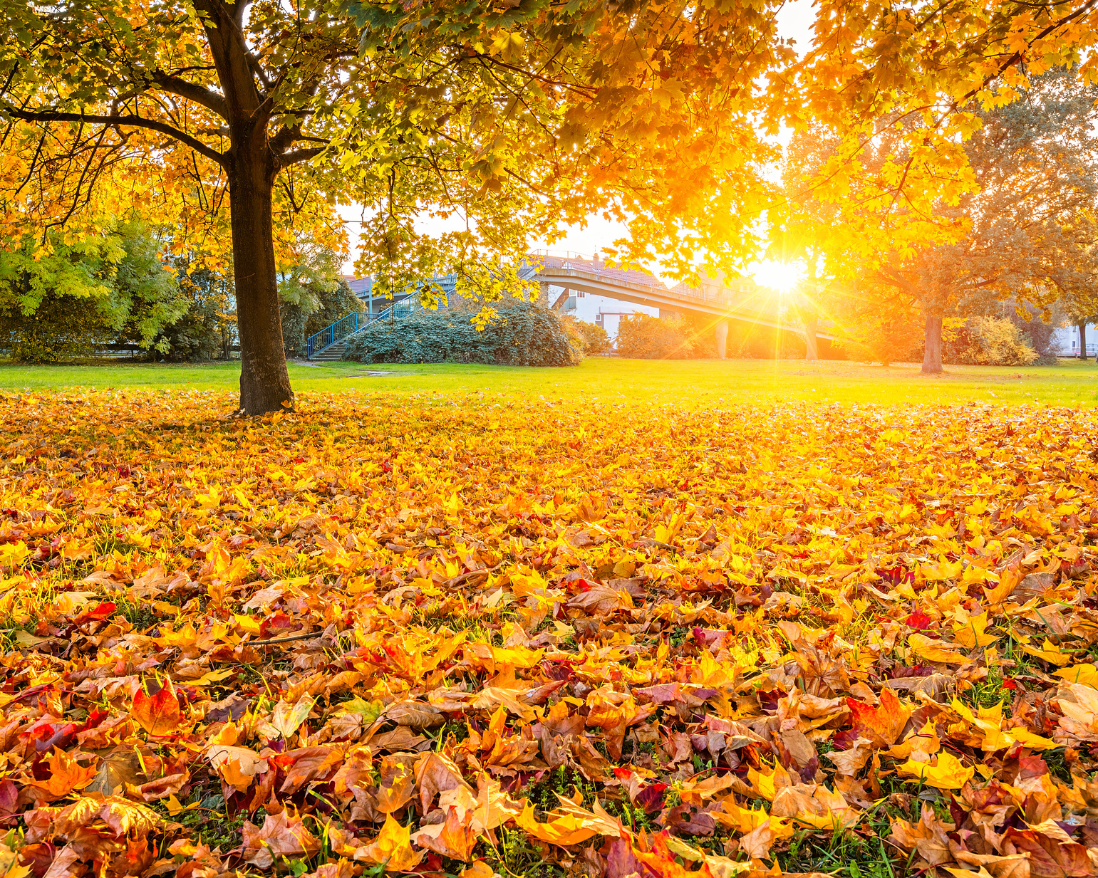 Vitamin D In Winter